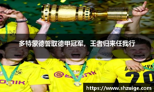 多特蒙德誓取德甲冠军，王者归来任我行